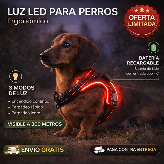 Arnés Ergonómico Led -  Seguridad y visibilidad para paseos sin riesgos